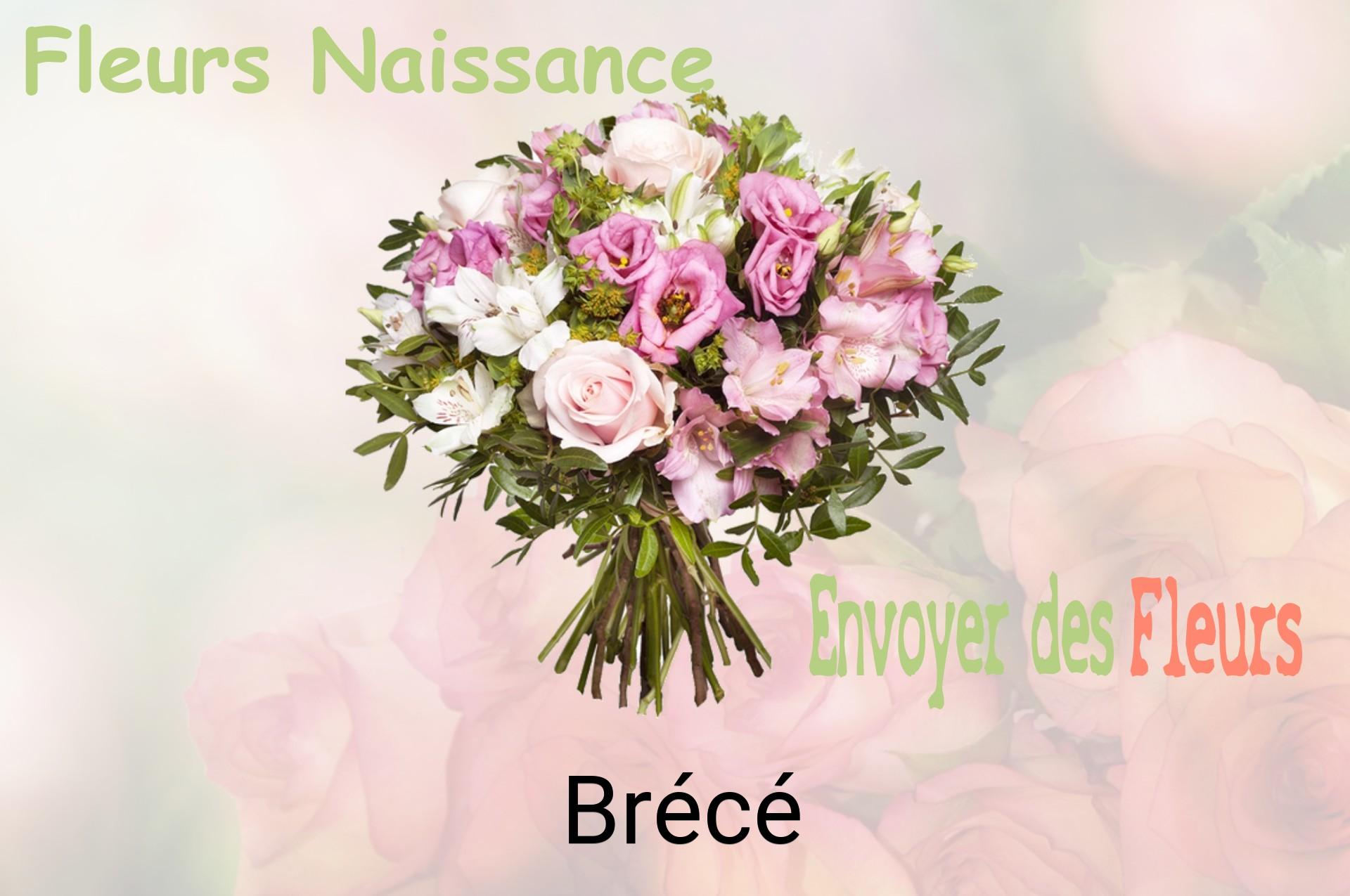 Bouquet de fleurs de naissance livré à Brécé