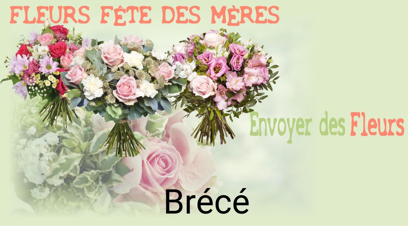 Bouquet de Fête des Mères livré à Brécé